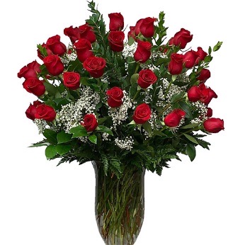 Long stem red roses